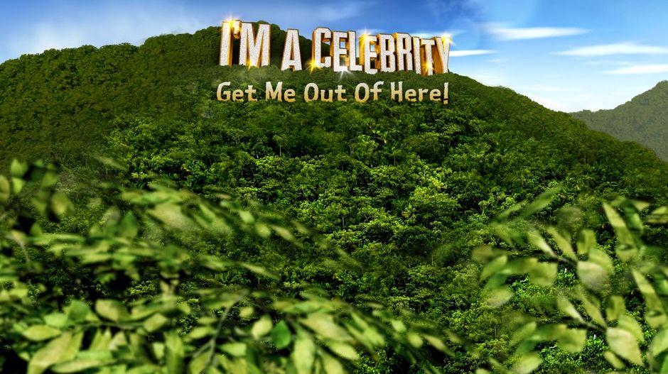 I'm A Celebrity and Learning and Development 