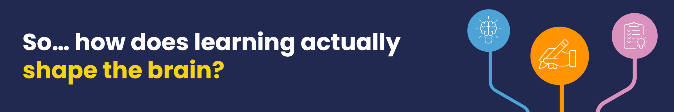 So… how does learning actually shape the brain? 